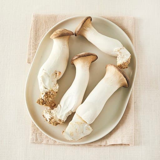 친환경 새송이버섯
